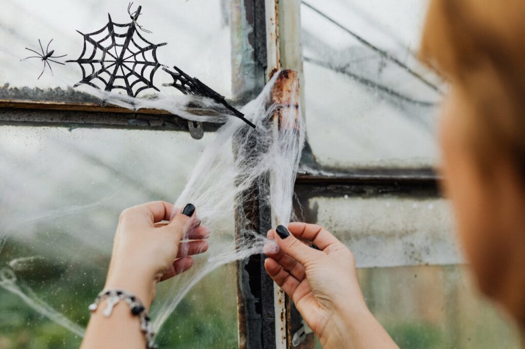 Spider Silk